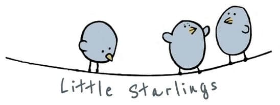 Little Starlings Nursery