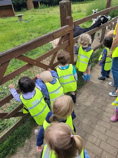 Little Starlings photo 9