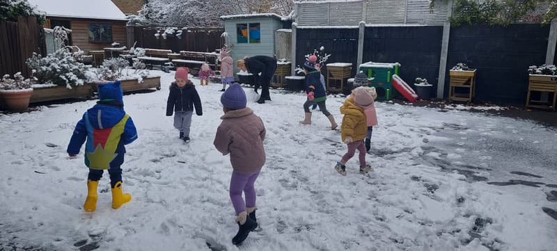 Little Starlings photo 7