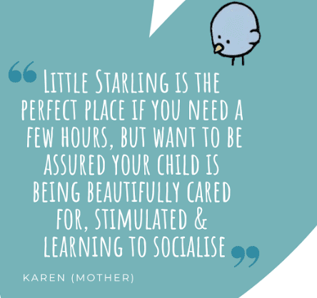 Little Starlings photo 16